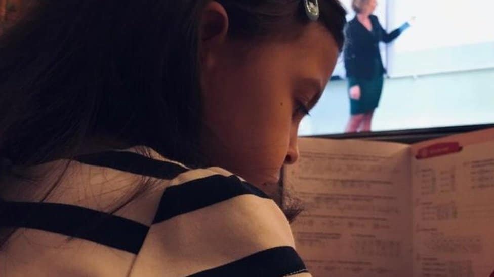 Srbija, škola, roditelji i deca: „Imam veću tremu nego sin" - kako da što lakše prebrodite početak školske godine 2 onlajn nastava