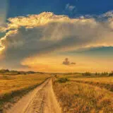 Ko su Slovenci koji su kupili 4.000 hektara u Banatu? 2