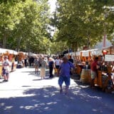 Izmena režima saobraćaja u Kladovu zbog “Etno festivala” 2