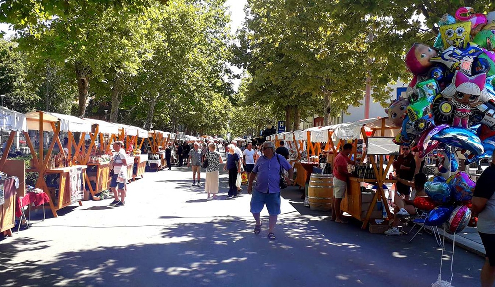 Izmena režima saobraćaja u Kladovu zbog “Etno festivala” 1