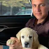 Sprema li Nebojša Stefanović možda svoju kandidaturu? 9