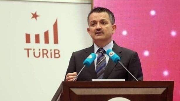 Ministar: Gotovo svi šumski požari u Turskoj pod kontrolom 1