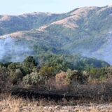 Požar na Kopaoniku, gori nisko rastinje 7