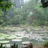 Indonezija (2): Bogor, malo romantično selo 3