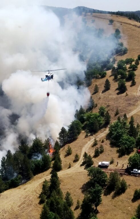Čaušić: Nastavlja se sa gašenjem požara na Mokroj Gori, radi se na uspostavljanju kontrole na najnepristupačnijem delu terena 8