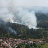 Ugašena četiri požara u Pčinjskom okrugu, šume oko Bosilegrada i dalje gore 14