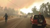 Požar na Peloponezu se ne stišava, osmoro povređenih 2