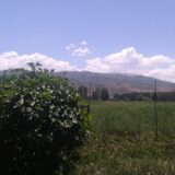 Kirgistan (1): Zeleni pojas jedne zemlje 6