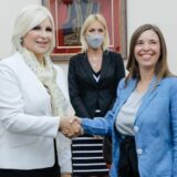 Mihajlović: Verujem da će Rio Tinto ispuniti ekološke standarde i otvoriti rudnik litijuma 7