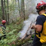 MUP Srbije: Ugašen požar na Crnom vrhu, gorelo 10 hektara trave i rastinja 3