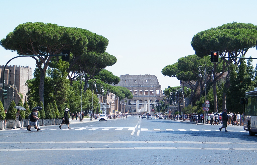 Kako očuvati divljinu u urbanom području? 4