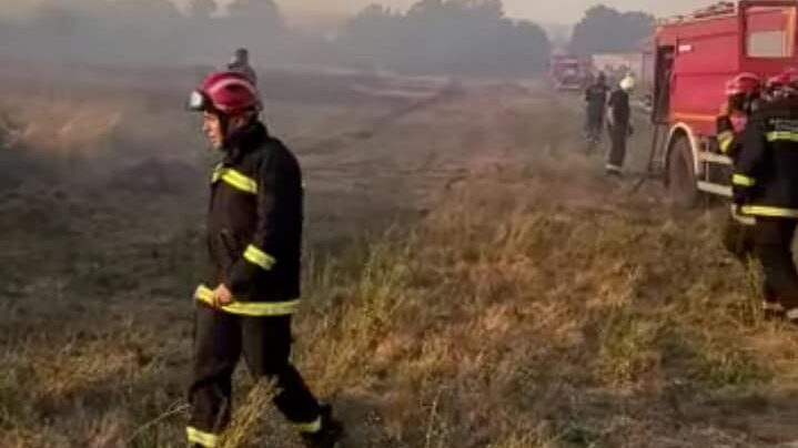Kladovski vatrogasci imaju pune ruke posla: Samo u nedelju gasili pet požara 1