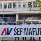 Demokrate ispred RTS-a poručile da je Vučić šef mafije 8