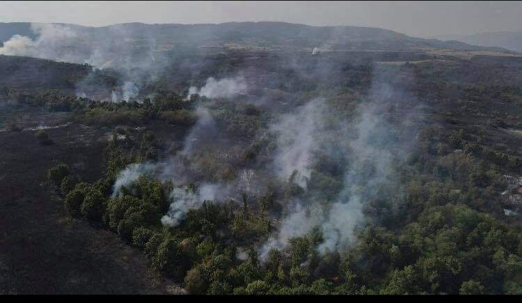 Kladovo: Jutros nastavljeno gašenje požara u ataru Petrovog sela 1