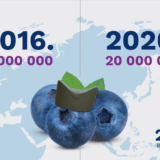 Srpska borovnica stigla i do Hong Konga 8