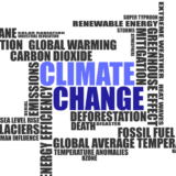 UNFPA: Mladi su lideri u borbi protiv klimatskih promena 12