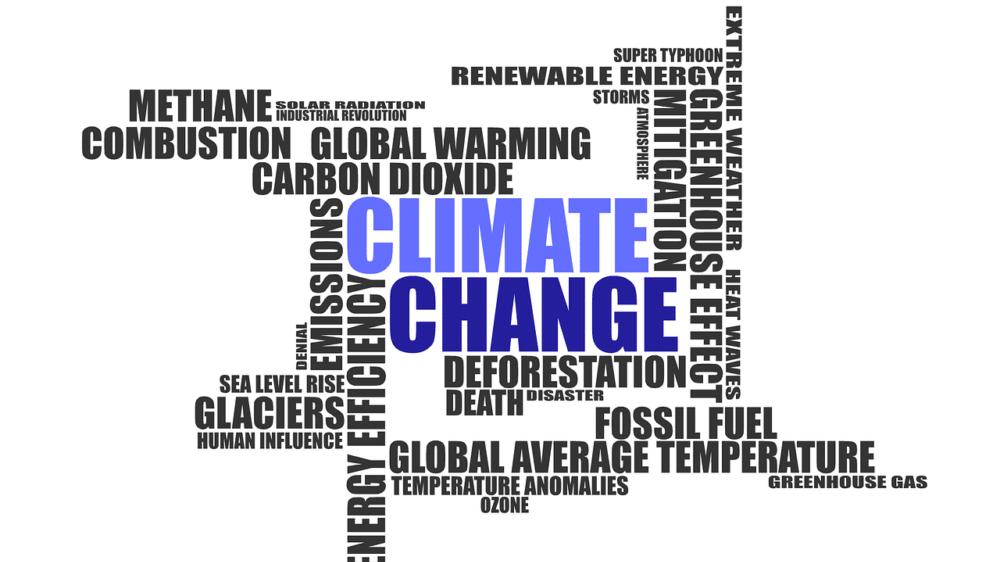 UNFPA: Mladi su lideri u borbi protiv klimatskih promena 1