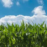 Kampanja "Ostavi pečat, ne trag" za opremanje prvog naučnog centra za istraživanje starih sorti 4