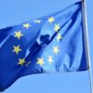 EP usvojio Plan rasta za Zapadni Balkan 11