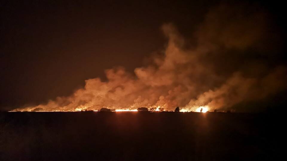 Zbog požara proglašena vanredna situacija u delu opštine Kladovo 1