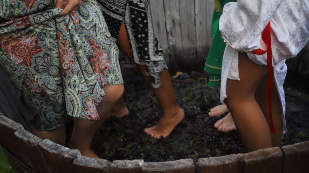 Prvi letnji festival „Dan vina i lepog raspoloženja“ 1