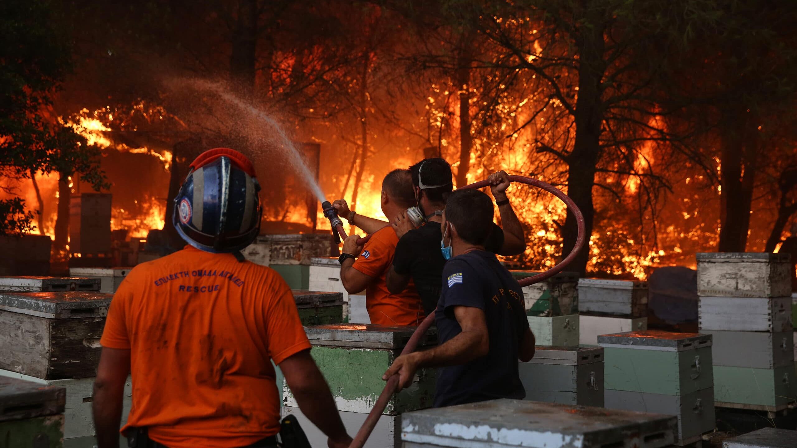 Širom Grčke gori čak 78 požara, Atina prekrivena dimom i pepelom 1