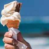 Nemci prave najviše sladoleda, Francuzi najviše izvoze 4
