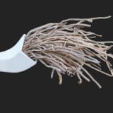 Oslobađanje u Galeriji '73 7