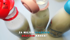 Vege recept: Biljna mleka i jogurti 7