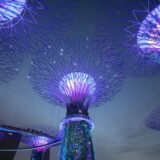 Ko su solarpankeri i u šta veruju? 9