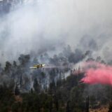 Šumski požar besni kraj Jerusalima, evakuisana i bolnica 7