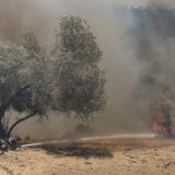 Opozicija zahteva uvođenje vanrednog stanja u Beogradu zbog požara u Vinči 6