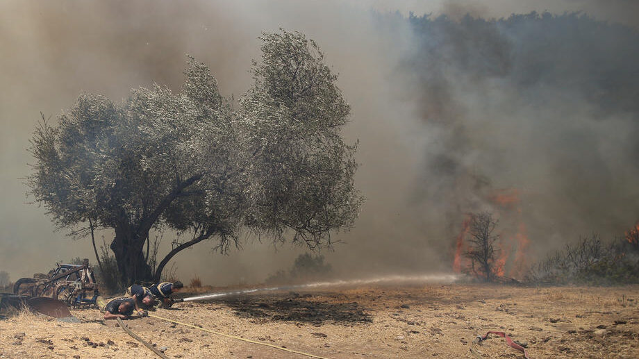 Optužene turske vlasti zbog nepripremljenosti za šumske požare 1