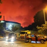 Matić: Počinje izmeštanje svih srpskih turista sa ostrva Evija na bezbedne lokacije 11