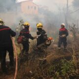 Najgora sezona šumskih požara u EU od 2006: Izgorelo područje veće od Kipra 5