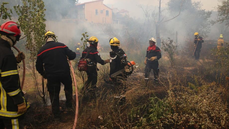 Građani u Grčkoj protestuju zbog neoganizovanosti vlasti povodom požara na ostrvu Evija 1