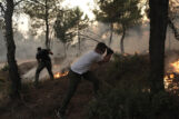 Bukte požari u Grčkoj, vatrene stihije i u Turskoj i na jugu Italije (FOTO) 7