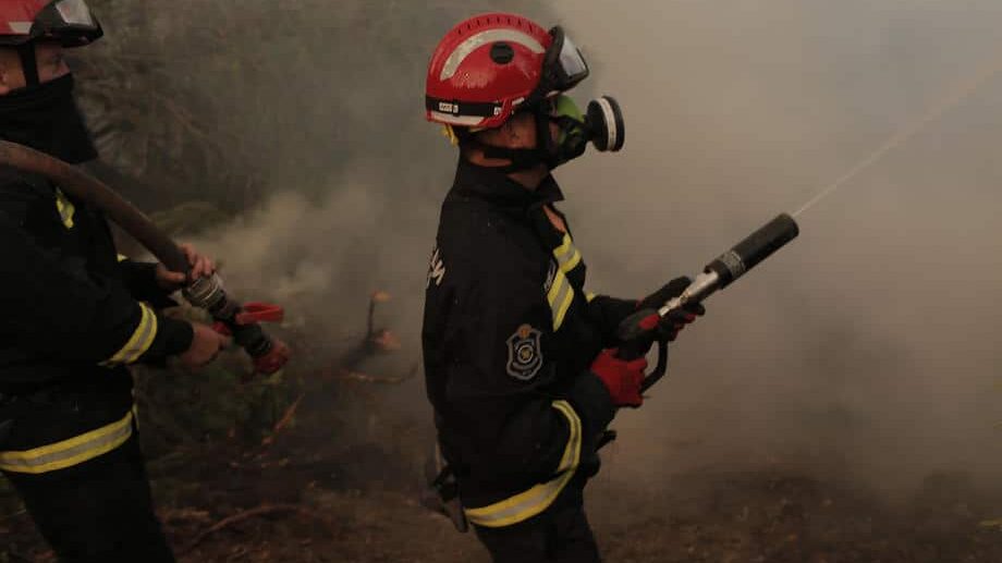 Vatrogasci se i danas bore sa požarom na grčkom ostrvu Evija 1