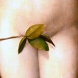 Žene, seks i kultura: Kako se vagine konačno oslobađaju stida 4