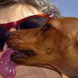 Životinje: Šta se krije iza najodvratnijih navika naših kućnih ljubimaca 5