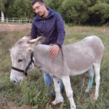Životinje i Srbija: Kako je uplakani magarac pronašao novi dom 8