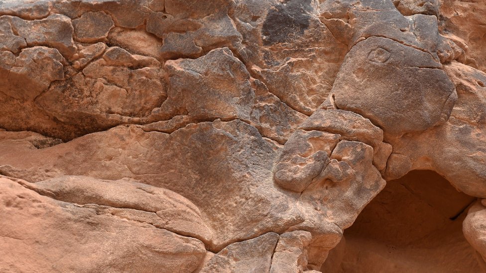 Glava kamile uklesano u stene