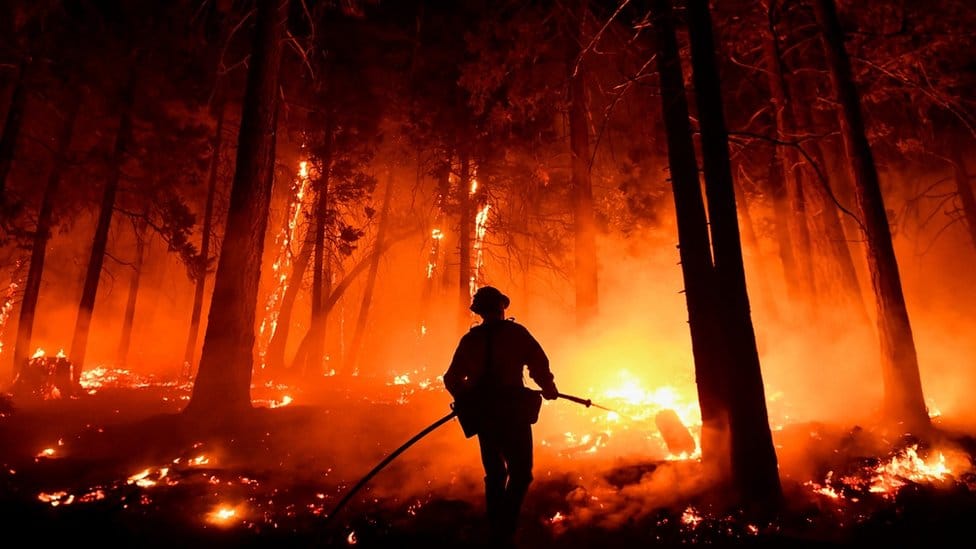 Požar u nacionalnom parku „Sekvoja" u avgustu 2021