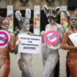 Moda i dobrobit životinja: Modne kuće Sen Loran i Brioni prestaju da rade sa krznom 5