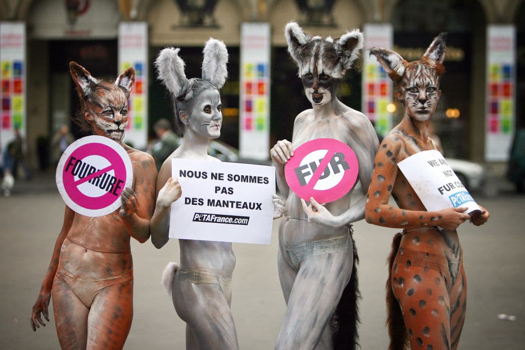 krzno, životinje, protest