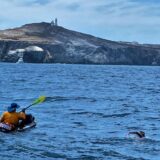 Edi Marković - devojka koja preplivava svet 8