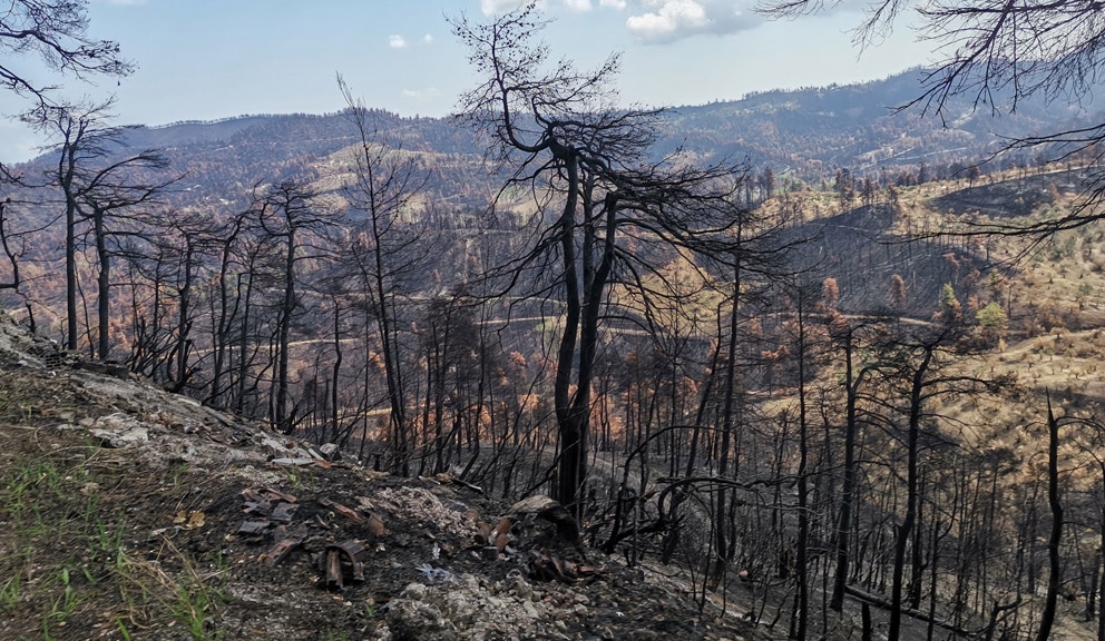 Letovanje na Eviji sa mirisom paljevine 2