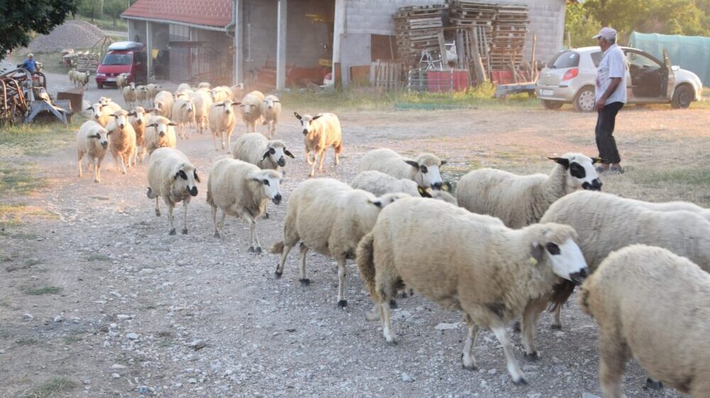 Gde nema vode, nema ni života 1