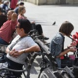 Sutra sunčano, samo u Timočkoj Krajini moguća rosulja 3