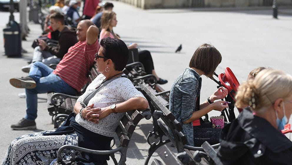 Sutra sunčano, samo u Timočkoj Krajini moguća rosulja 1